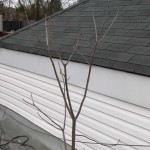Suffolk County Roofing Company Long Island Business Roofing